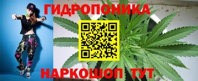 a pvp Боровичи