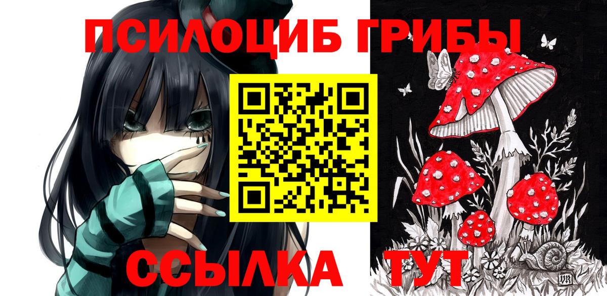 Карачаевск  Псилоцибиновые грибы MAGIC MUSHROOMS  что такое   Вход с VPN 