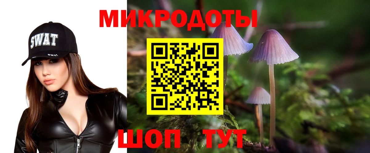 Псилоцибиновые грибы прущие грибы Карачаевск